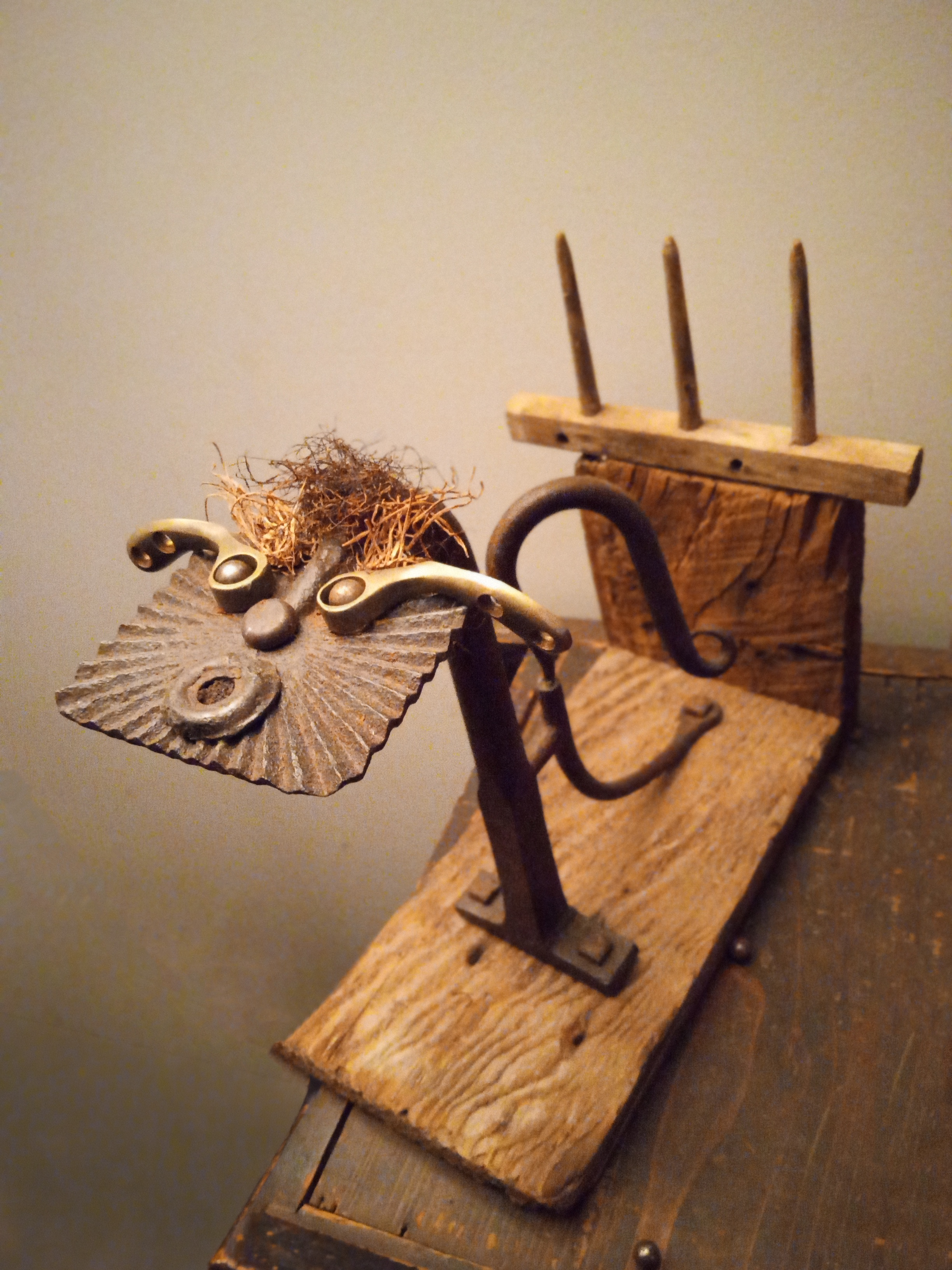 The Dragon - Dracos Cranioflatus